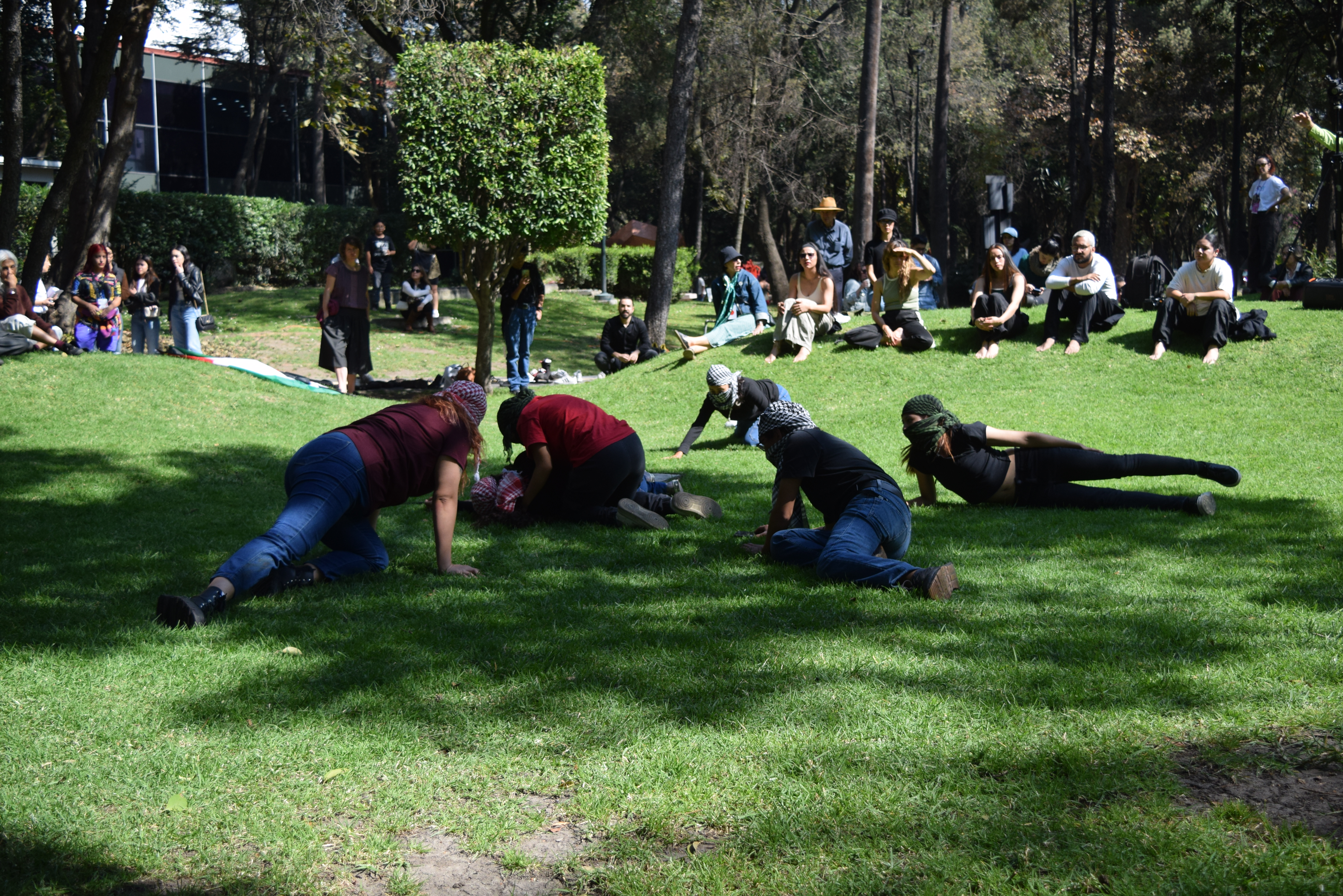 Dabke 03